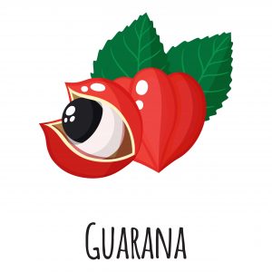 Guarana Nedir ve İnsan Sağlığına Faydaları Nelerdir?